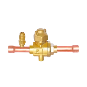 37000-TS-06-20-1 Küresel Vana