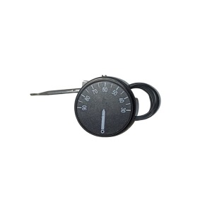 Techsun WY-90 B0004008 30-90 Spiralli Isıtıcı Termostat Çift Kontak