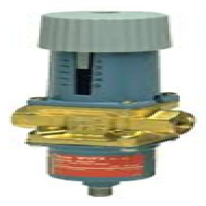 WVFX20 SU REGÜLATÖR VANASI G3/4 003N3100